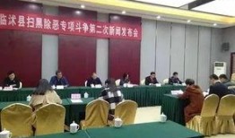 临沭县最新爆料新闻报道,揭秘背后惊人真相！