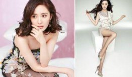 杨幂的最新爆料是什么,揭秘娱乐圈不为人知的秘密