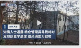 雍湖社区爆料事件最新,最新事件追踪，真相渐浮水面