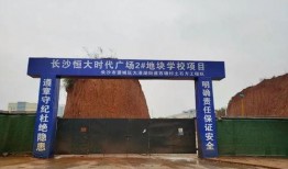 星城公司最新爆料消息,揭秘最新项目背后的惊人内幕